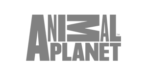 ANIMAL PLANET
